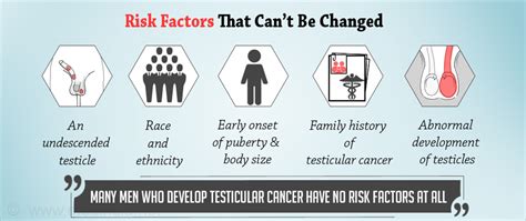 Testicular Cancer Causes And Risk Factors