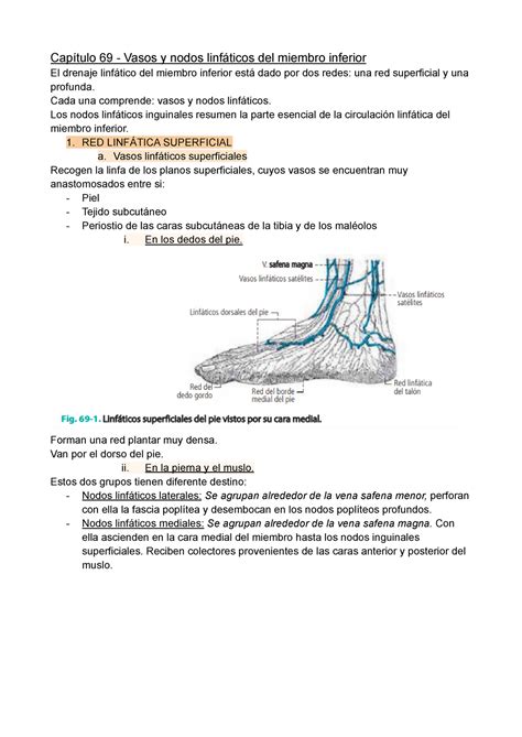 Capítulo 69 Vasos y nodos linfáticos del miembro inferior Cada una