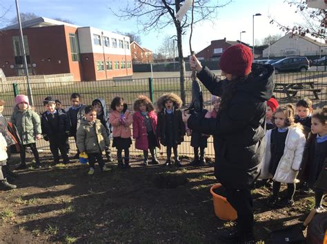 Celebrating Jewish Festivals King David Primary School King David