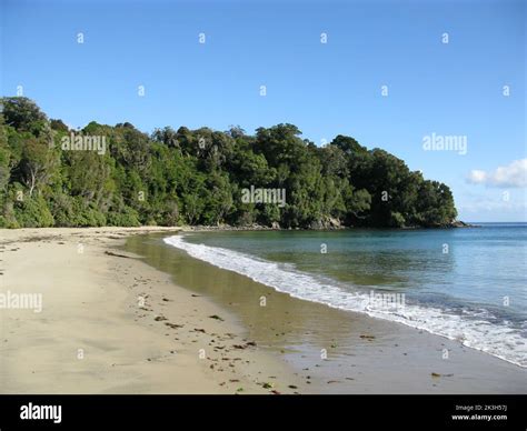 Beach The North West Circuit Stewart Island Rakiura Southland New