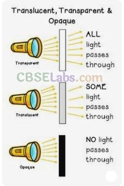 Light Shadows And Reflection Class 6 Notes Learn CBSE