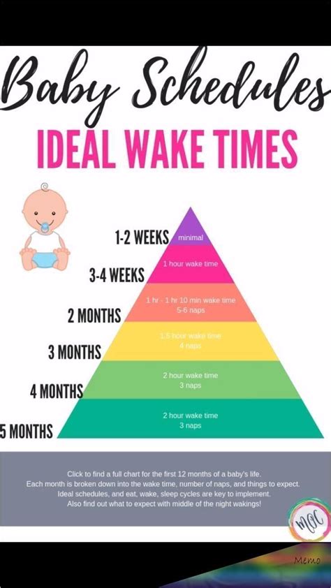 Pin By Amonda Kimmel On Baby Care Baby Care Tips Baby Wise Baby