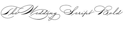 The Wedding Script Font | Webfont & Desktop | MyFonts