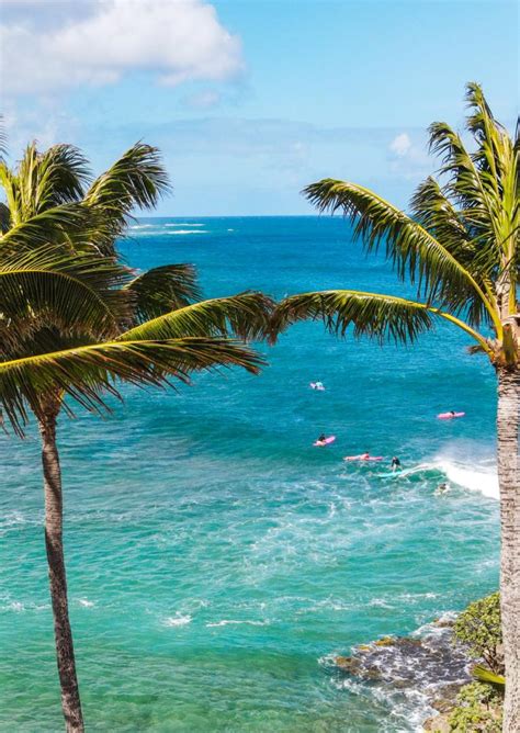 Stay North Shore Oahu Resort Hotel The Ritz Carlton O’ahu Turtle Bay