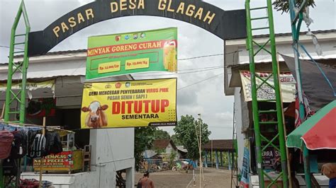 Wabah Pmk Mengganas Pasar Hewan Di Banyuwangi Pilih Tutup