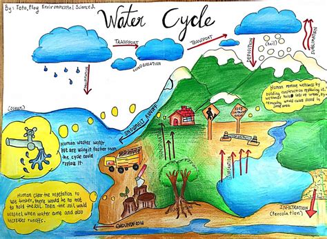 The Water Cycle poster - Bralee's e-Portfolio