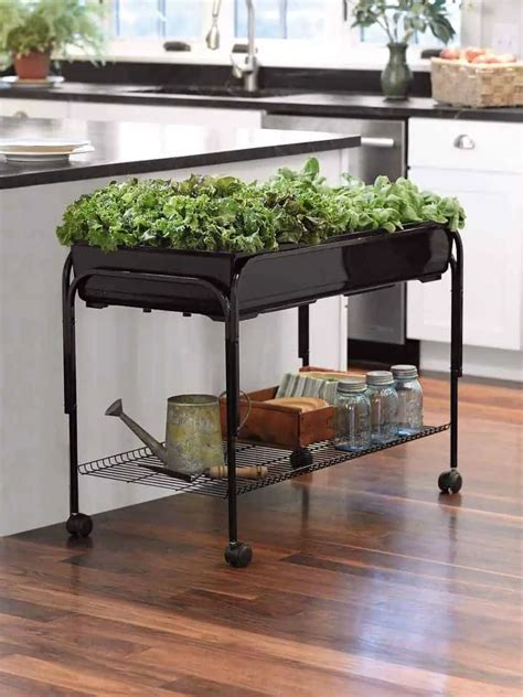 Indoor Garden Ideas to Grow Food Inside | Family Food Garden