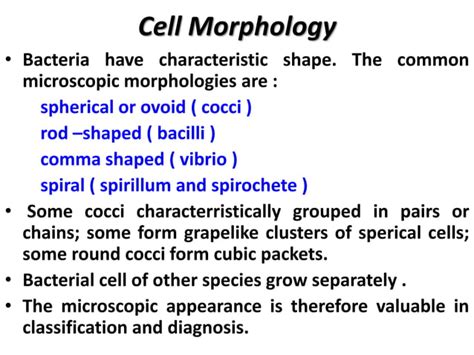 Structure of bacterial cell | PPT