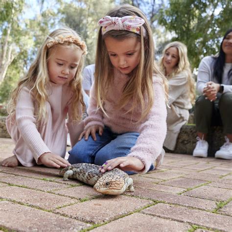 Animal Wildlife Park | Explore & Learn | City of Bunbury