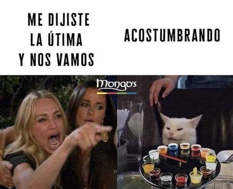 22 Memes del gatito relativamente mentiroso que te darán mil risa