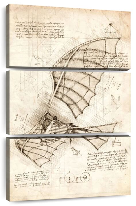 Leonardo Da Vinci Flying Machine