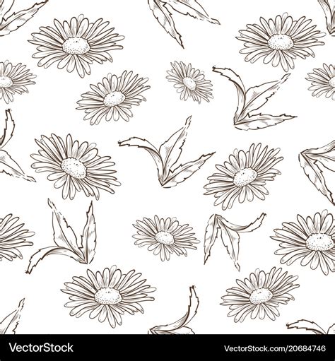 Chamomile Seamless Pattern Royalty Free Vector Image