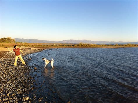 Tahoe Guide to Pet Friendly Beaches and Hikes | Tahoe Rental Company