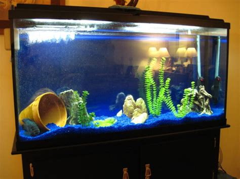 75 Gallon Aquarium Setup Guide Step by Step | My Aquarium