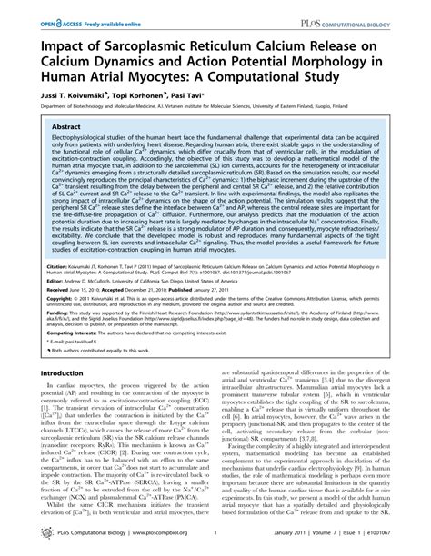 (PDF) Impact of Sarcoplasmic Reticulum Calcium Release on Calcium ...