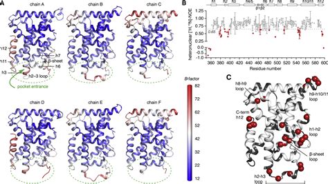 Defining A Canonical Ligand Binding Pocket In The Orphan Nuclear