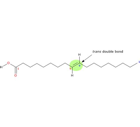 Elaidic Acid Tuscany Diet