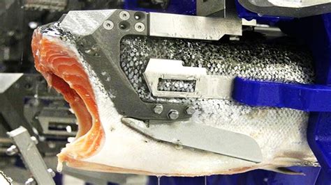 Como Se Hace El Salmon Ahumado Producci N En Masa De Filetes De