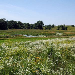 intro  soil conservation practices   farm