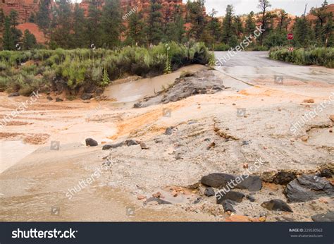 Desert Flash Flood Red Canyon Utah Stock Photo 229530562 - Shutterstock