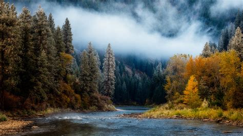 Garden Valley Fall near Crouch, Idaho ~ GRT Journal