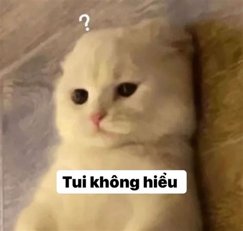 Meme Không Hiểu Đừng Like Ảnh Meme Em Không Hiểu Hài