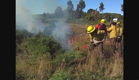 Onemi Informó Que Hay 75 Incendios Activos