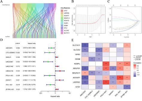 Figure From Crosstalk Among Disulfidptosis Related Lncrnas In Lung