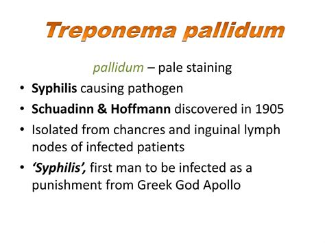 Treponema Pallidum Ppt