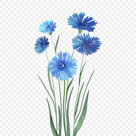 Blumen Blau Clipart