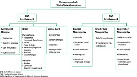 Clinical Presentations Of Neurosarcoidosis Involving The Central And