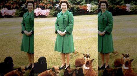 The Truth About Queen Elizabeth's Corgis