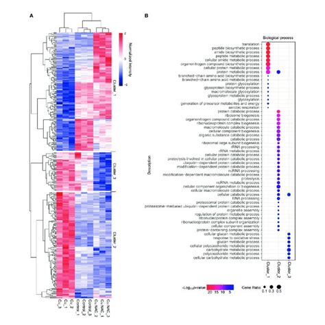 Clustering Based Gene Ontology Go Enrichment Analysis Of