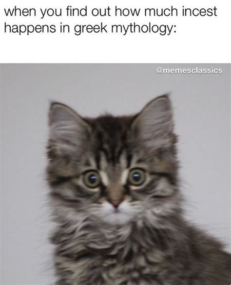 Fifteen Amusing Greek Mythology Memes Mythology Greek Mythology