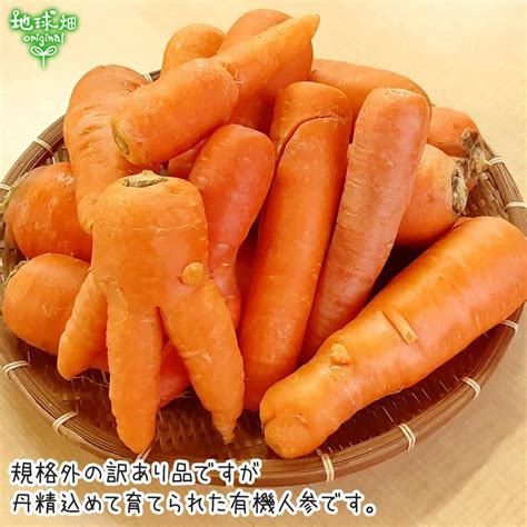 訳あり にんじん 9kg 有機栽培 冷蔵便 鹿児島県産 宮崎県産 化学肥料・農薬・除草剤不使用 規格外 ジュース用 わけあり B品 人参 有機