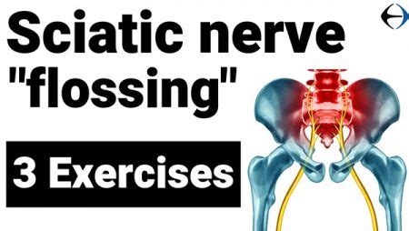 Sciatica: 3 exercises for sciatic nerve flossing - Evercore - Move With ...