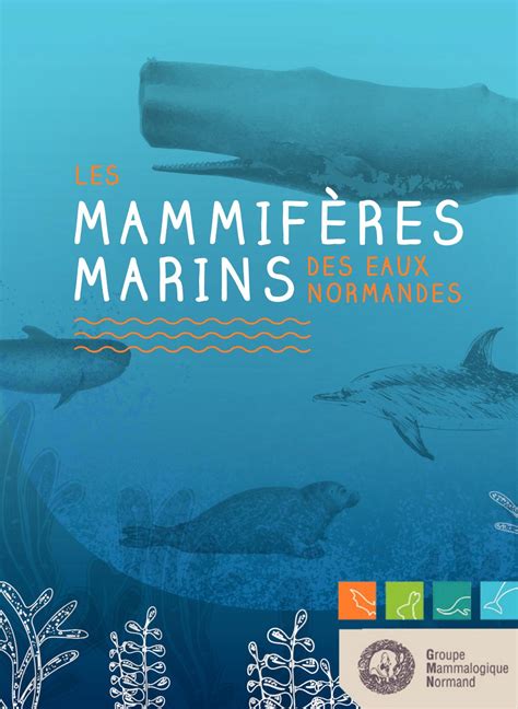 Calaméo Carnet les mammiferes marins nn Normandie source Groupe