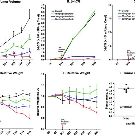 Dose Response Of Sorafenib Treatment In The Hcc Orthotopic And Ectopic