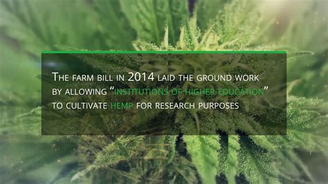 2018 Farm Bill And The Hemp Industry Youtube