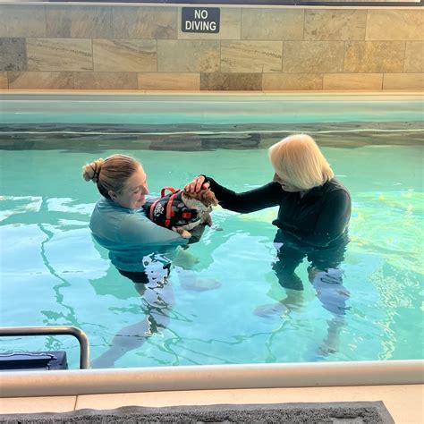 Vanderburgh humane society reaches its highest adoption rate ever 16