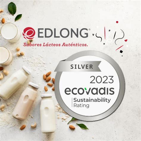 Medalla De Plata De Ecovadis Por Desempeño Edlong