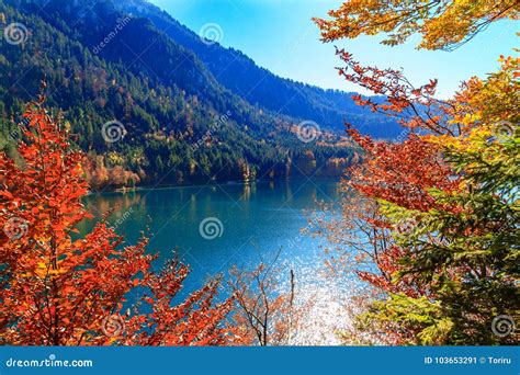 Alpsee Lake.Bavaria, Germany Stock Image - Image of alpine ...