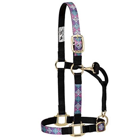 Everything You Need To Know About Weaver Horse Halter Sizes A