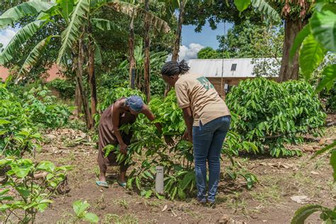 Women Smallholders Leading The Fight Against Climate Change