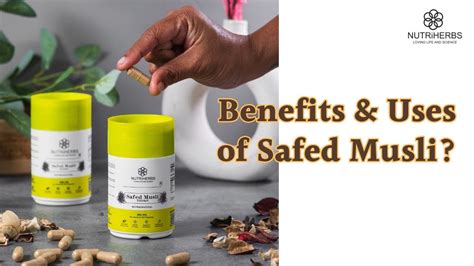 Benefits Uses Of Safed Musli YouTube