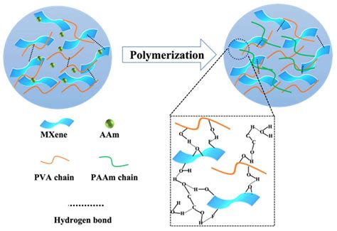 Polymers Free Full Text Flexible Stretchable Dry Resistant Mxene