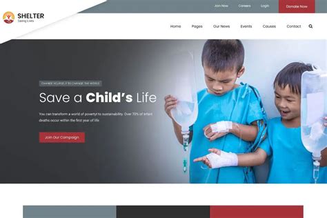 Best Ngo Website Templates For Thememasterly