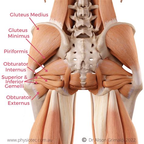 Physio For Hip Pain