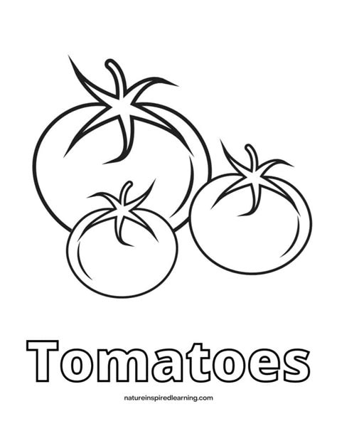 Tomato Coloring Pages Nature Inspired Learning