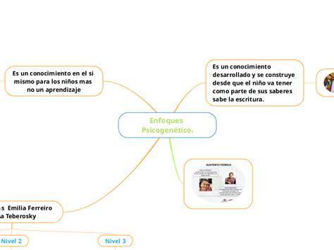 Ambitos Del Desarrollo Humano Mind Map